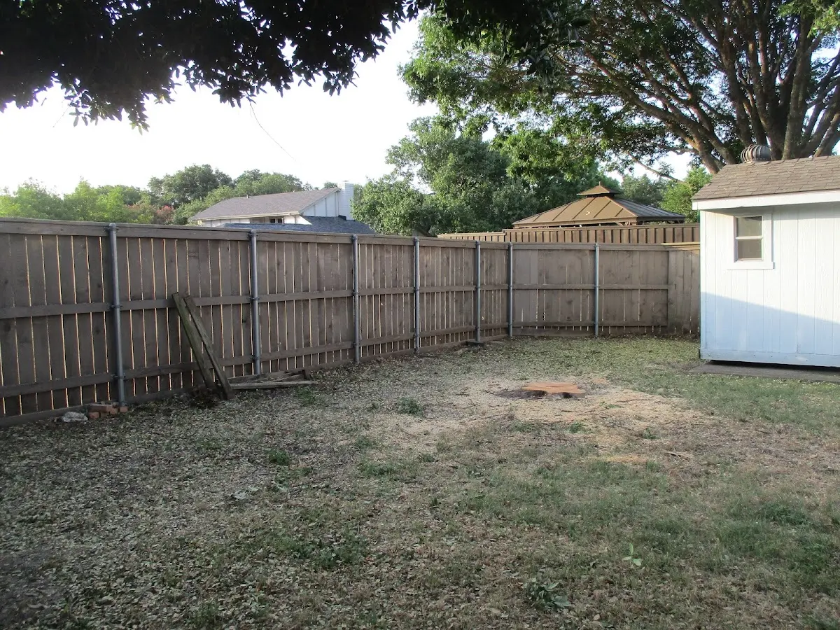 Cleared yard after professional tree removal in Wilmar